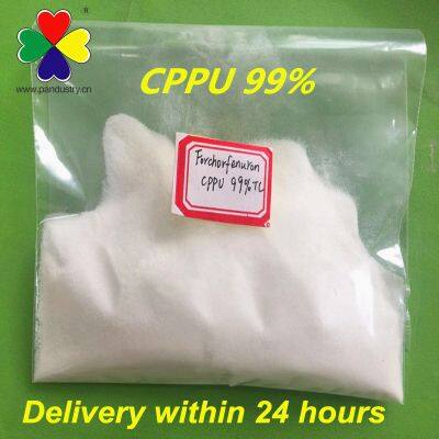 Agrochemical Plant Growth Regulator Forchlorfenuron Cppu Forchlorfenuron 99%TC photo-2