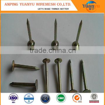 China Alibaba Trade Assurance Manufacturer supply common nail