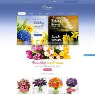 Website Design/ Ecommerce Website Design/ Shopping Cart Web Design