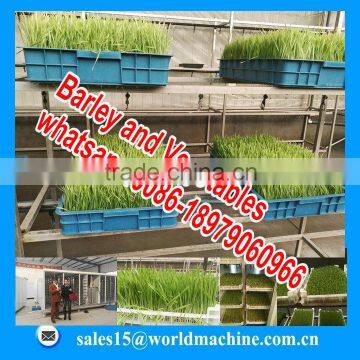Hydroponicpoultry Feed Machine for Sale/hydroponic Fodder System/hydroponics Fodder Hydroponic Culturing Barley Breeding Machine photo-2