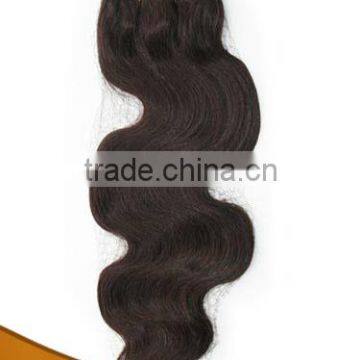 virgin remy brazilian hair weft