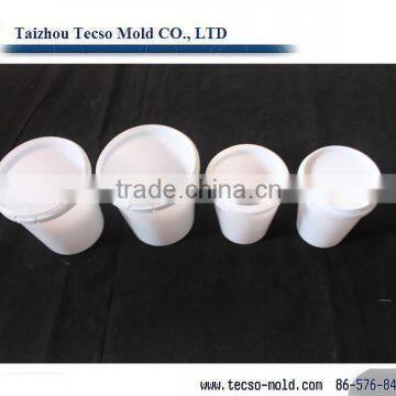 1 Gallon chemical thin paint buckets mould/can