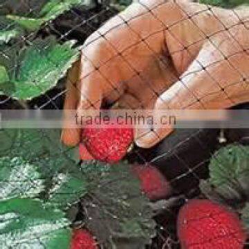 Mutiple-purpose Plastic Mesh/diamond &square Mesh