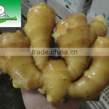 shandong ginger price competitive