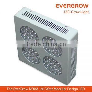 EverGrow led grow light panel 136w for agriculture