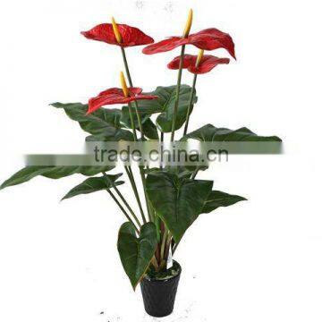 wedding flowers ,wedding plants,Christmas flower plant