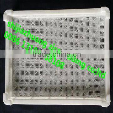 PS Plastic Type Seedling Tray