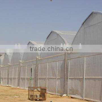 Plastic Film Greenhouse