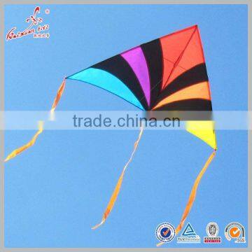 1.6M Wingspan Chinese Factory Big Delta Kite