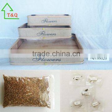 Wooden Herb Box Planter Outdoor Garden Decoration