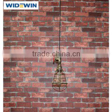 Colorful Edison Bulb Industrial Vintage Cage Pendant Light in Bronze photo-6
