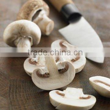 Mushroom Extract 10% polysaccharides