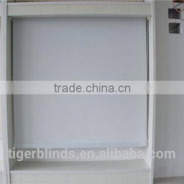 car window roller blind