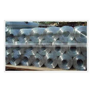 Welded Wire Mesh photo-2