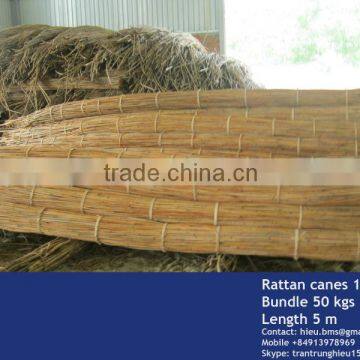 Rattan cane bundles 10-12, 14-16mm