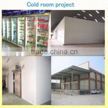 Freezing Chamber for Frozen Meat Storage