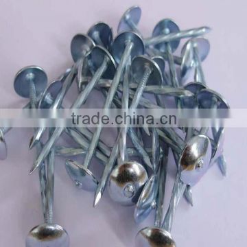 Twisted Shank Umbrella Roofing Nails