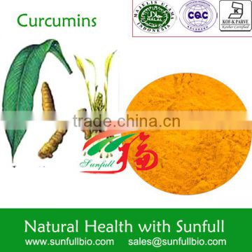 natural Turmeric extract curcumins 95%