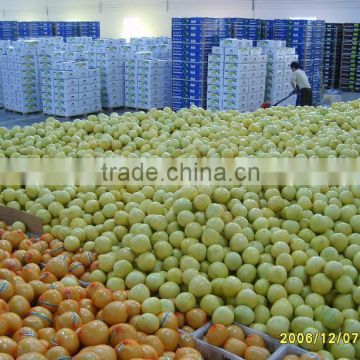 Sweet Honey Pomelo 8-11 pcs 10kg carton to Romania Market