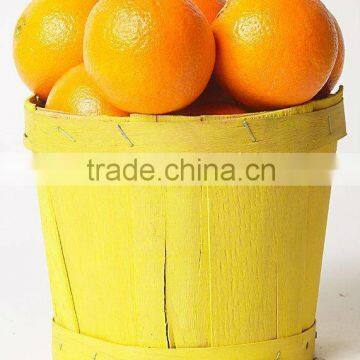 New Year 2017 Special Offer - Mandarin "Kinnow" Orange, Citrus Fruit From Pakistan