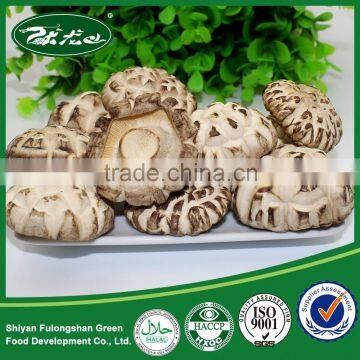 2015 new crop Wild Dried flower button mushroom