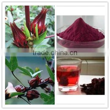 Natural Hibiscus Flower Extract