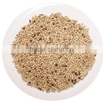 Factory Price Best Selling White Pimenta