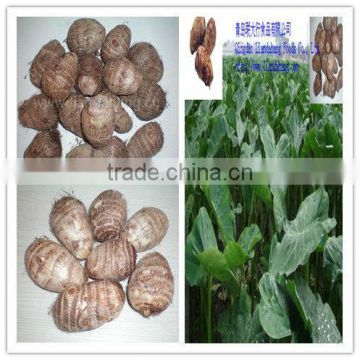 Certified GAP/HALAL/FDA fresh TARO To USA