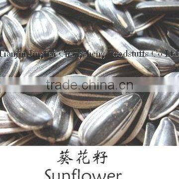 sunflower seed(USA type,high quality)