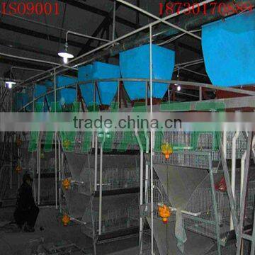 Attention!Best Price & High Quality Poultry Broiler House for Sale(ISO9001)