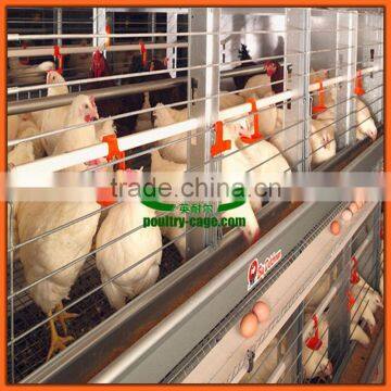 Hot galvanized chicken egg layer cages for chicken farm