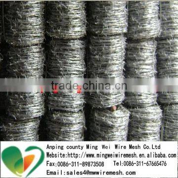 Double Twist Steel Galvanized Barbed Wire factory