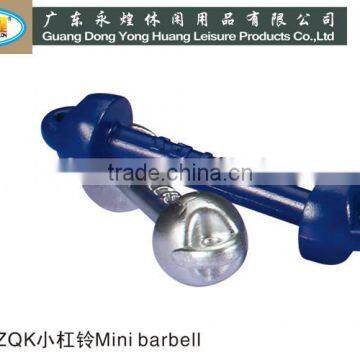 lead mini barbell 300G/PCS trolley case lead weight handle lead weight