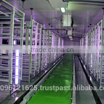 STAR GF300 HYDROPONIC FODDER MACHINE photo-2