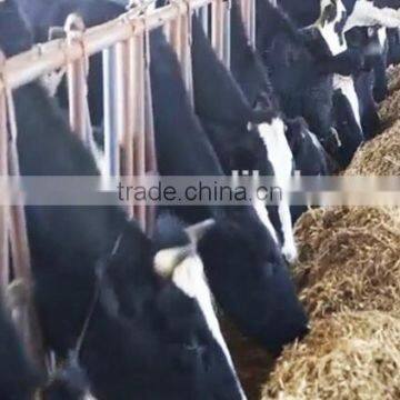 HONORSUN TMR FEEDING MIXER PRICE photo-3