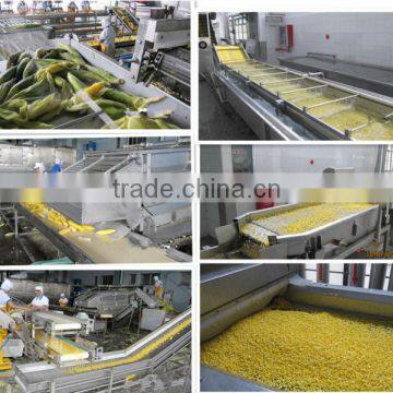 Vegetables and Fruits Drying Line Equipment for Dehydrated Cabbage Drying Line photo-4