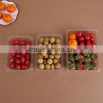 1000ml Rectangular Disposable Clear Fruit Container photo-6