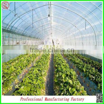 Customer Design Commercial Glass Greenhouses for Roses/strawberry/tomatoes Planting photo-5