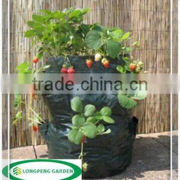 45L Durable Let's Growing Strawberry Planter photo-3
