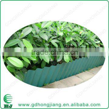 Vegetable Garden Edging photo-6