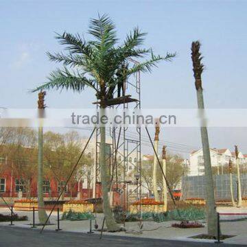 SJ2001116 High quality cocount tree factory outlet