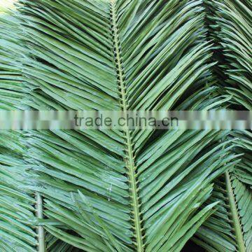SJZZY Outdoor Decorative Plastic Artificial Palm Tree Leaves photo-3