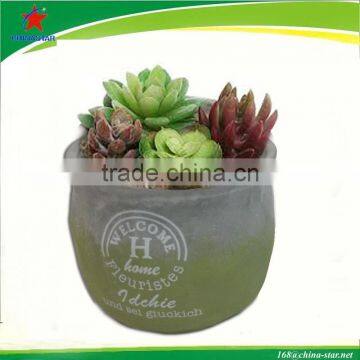 Round Light weight Concrete Pot