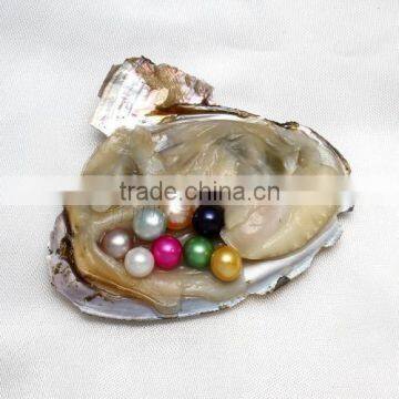 2017 New Colored Freshwater Cultured Pearl Oyster Dyed Fashion Design photo-3
