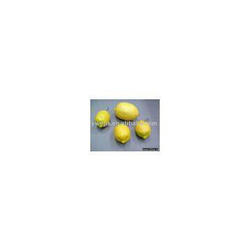 Artificial fruit,models