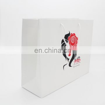 Customized Paper Gift Bag, Cheap Christma Gift Bag, Paper Carry Bag