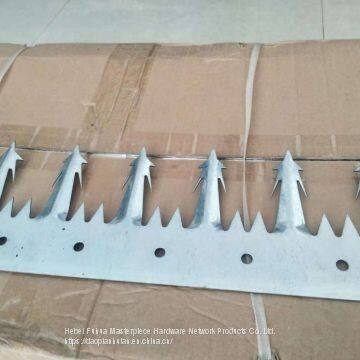 Wall guard against theft stainless steel spike