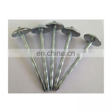 Galvanized Umbrella large head roofing nails