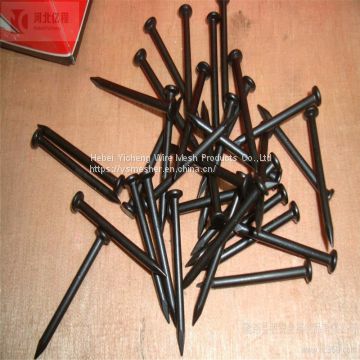 large head galvanized Umbrella Roofing Nails/Concrete Nails/common nail made in china