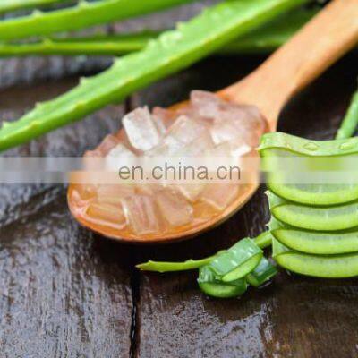 Aloe Vera Jelly Dice/ Best Offer Aloe Vera Dice From Vietnam photo-3